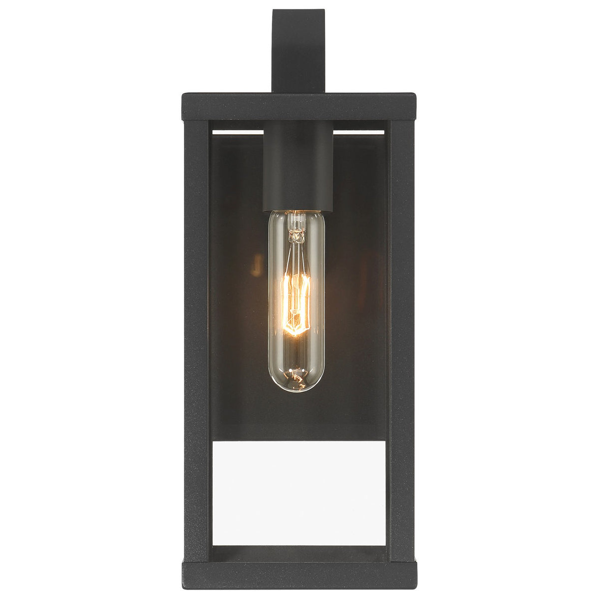 Access - 20152MG-BL/CLR - One Light Outdoor Wall Mount - Augusta - Black