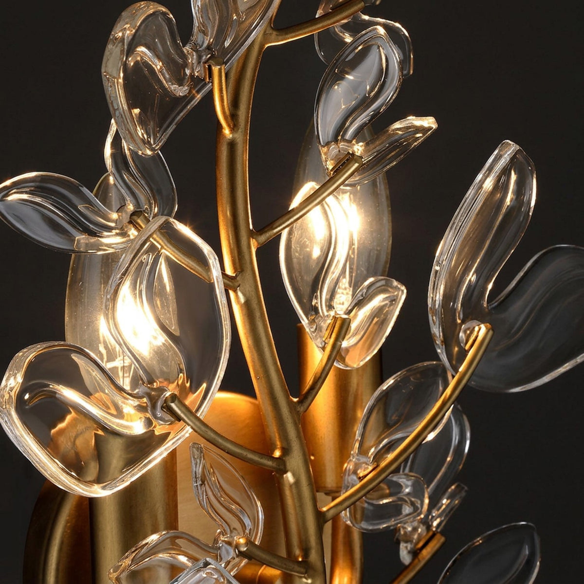 Bridget 4 Light Wall Sconce