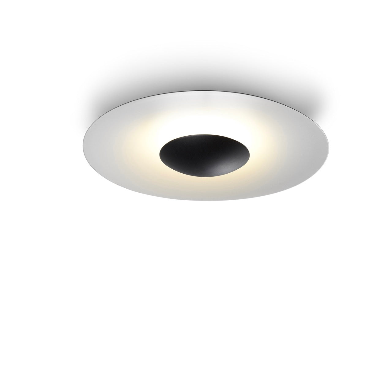 LED Ginger 60C Outdoor Wall/Ceiling Light