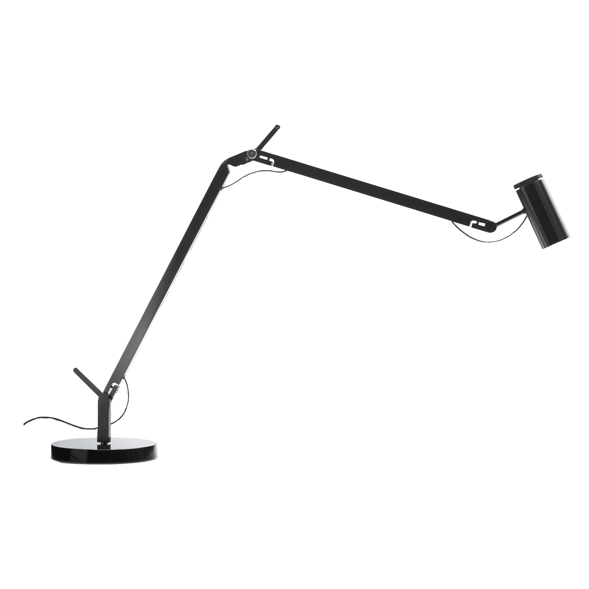 Polo Task Lamp