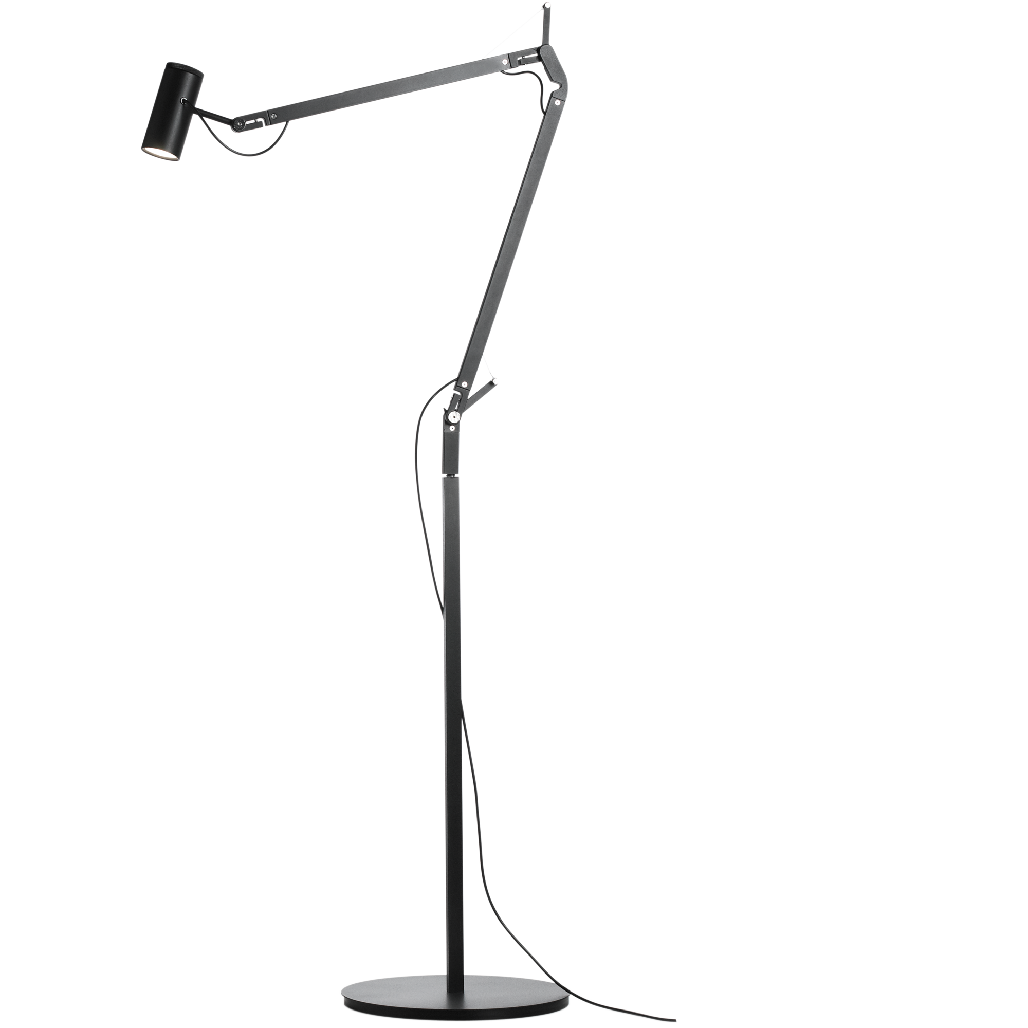 Polo Task Lamp