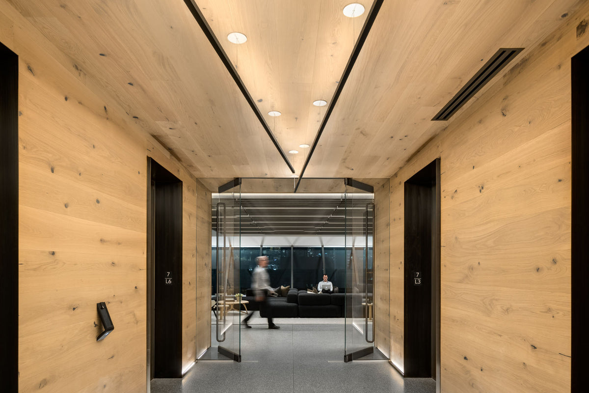 Showcasing suspended linear lighting